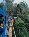 /album/fotogaleria-lakadivy-zajazd/lakadivy-zajazd-india-jamajkanita-28-jpg/